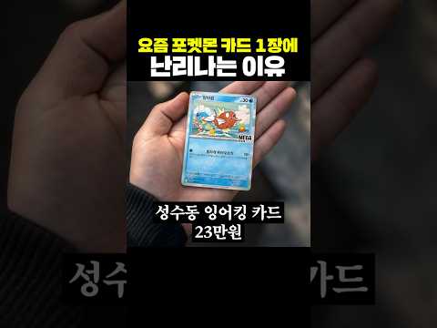 요즘 포켓몬 카드 1장에 난리나는 이유 thumbnail