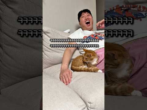 박자감 좋은 고양이 thumbnail