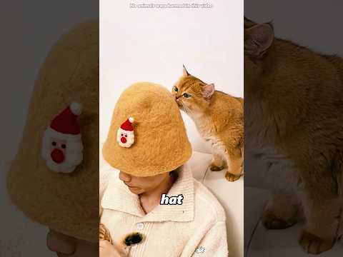 This man finally made a certain cat-haired hat.#shorts thumbnail