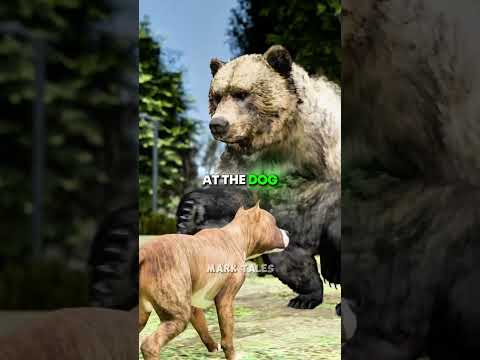 Dog Saves Owner From Bear ? thumbnail
