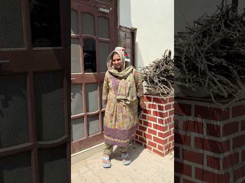 Is cheej ko aajmane kaato wali jagah par gai #dailyvlogs #minivlog #shortvideo #familyvlog #short thumbnail