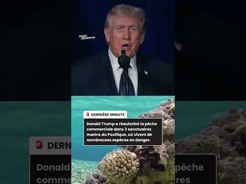 Donald Trump a réautorisé la pêche commerciale dans 3 sanctuaires marins du Pacifique thumbnail