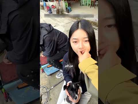 اصطادت السمك عن طريق علكة فقط 😮 #shorts thumbnail