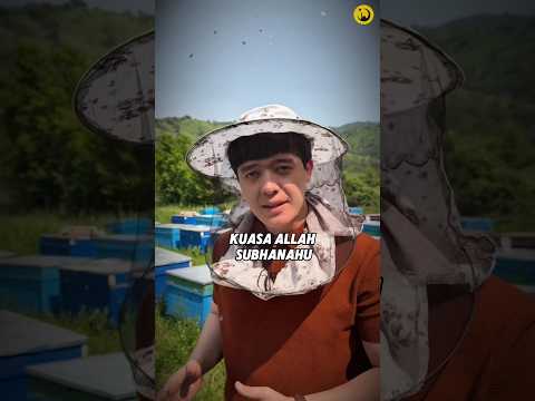 Dia Menemukan Kuasa Allah Tepat Di Hadapannya😱 thumbnail