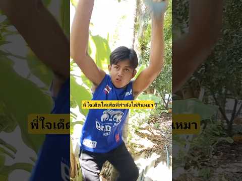 เสือไล่กินหมาดีนะผมเป็นคนไม่กลัวเสือ??#บังเอิญเจอ #funny #comedy #การแสดงเท่านั้น thumbnail