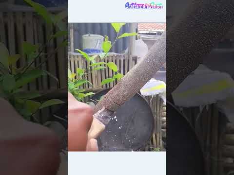 Saw bending technology for bonsai branches thumbnail
