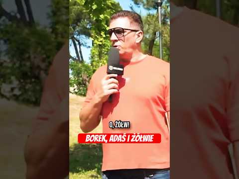BOREK, ADAŚ I ŻÓŁWIE W ALBANII #shorts thumbnail