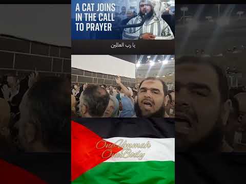 Dua for Palestine (Makkah) thumbnail