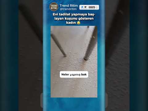 Tadilat Yapmaya Başlayan Kuşunu Gösteren Kadın 🤣😅 thumbnail