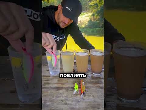 Одна ошибка с приманкой может оставить без улова 😳 thumbnail