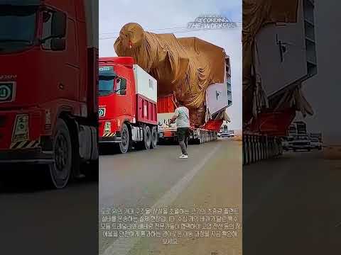 이 초대형 구조물 아시는 분? 트레일러 이동 현장 #worker #process #truck #oversized #engineering thumbnail