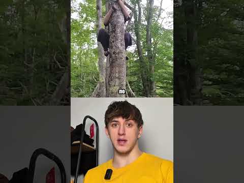 Почему ниндзя использовали это thumbnail