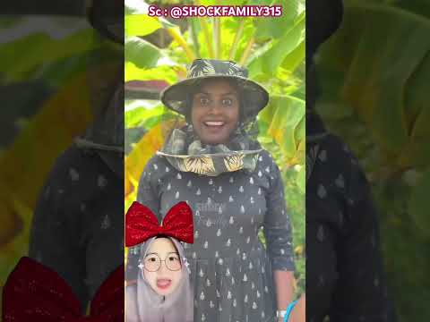 Sekeluarga datang ke kebun lebah madu ? ?⁉️ @SHOCKFAMILY315 thumbnail