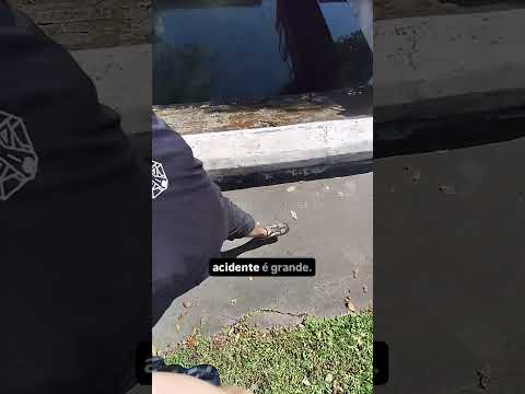 Reatividade Canina por Frustração - Pitbull #cães #shorts #shortsfeed #pitbull #pets #adestramento thumbnail