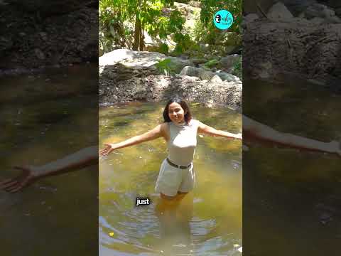 This Forest Walk Can Change Your Brain Chemistry! thumbnail