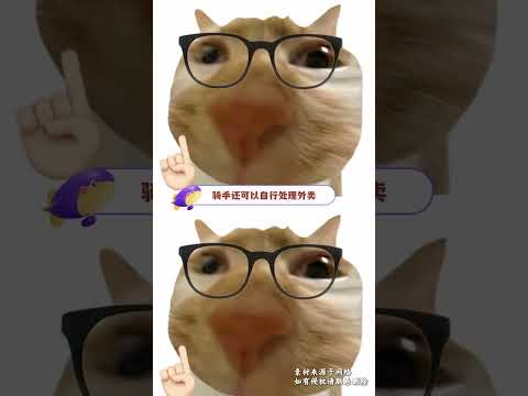 澳大利亚全球时薪最高的国家 #澳大利亚 #澳洲 #澳大利亚打 #万万没想到 thumbnail