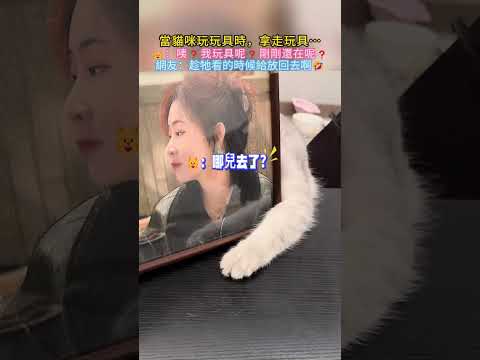 當貓咪玩玩具時，拿走玩具…?：咦❓我玩具呢❓剛剛還在呢❓網友：趁牠看的時候給放回去啊? #cat #cute #funny #shorts #funnyshorts thumbnail