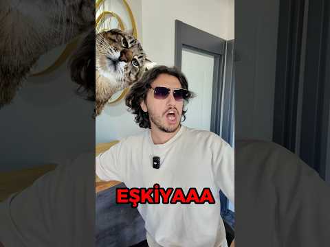 Kedinin ismi ne? 😂 thumbnail