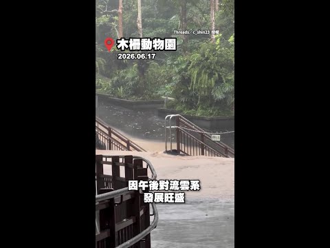 大雷雨炸13縣市！　木柵動物園大貓熊館「門口驚變小河」 #Shorts thumbnail
