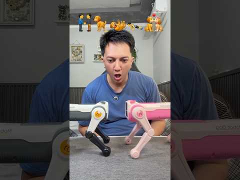 Perintah Robot Anjing Sesuai Emoji thumbnail