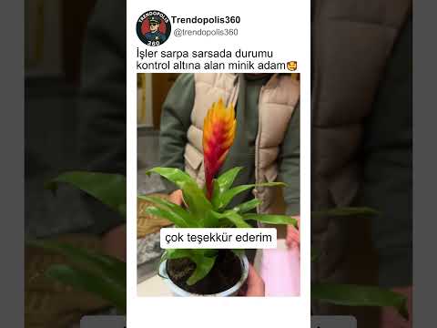 Anneler Günü Hediyesi Yere Düşse de Telaş Yapmayan Minik Adam?? thumbnail