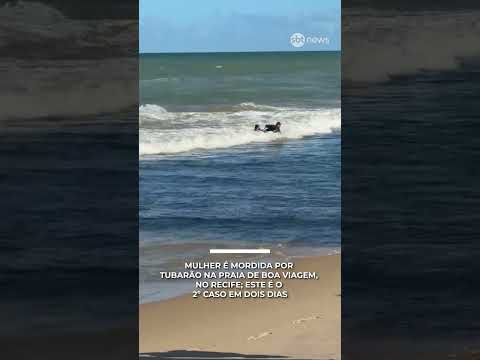 Mulher é mordida por tubarão na praia de Boa Viagem, no Recife; este é o 2º caso em dois dias thumbnail