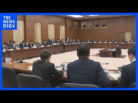 衆議院・憲法審査会 「緊急政令」で与野党が議論｜TBS NEWS DIG thumbnail