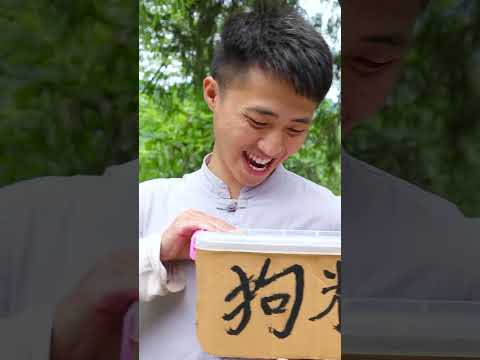 Witness PDA is Like a Dog🐶 | Public Display of Affection | Funny TikTok | Songsong and Ermao #shorts thumbnail