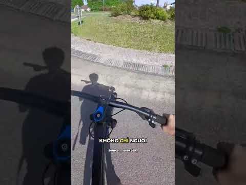 Đi đường tắt theo xu hướng thumbnail