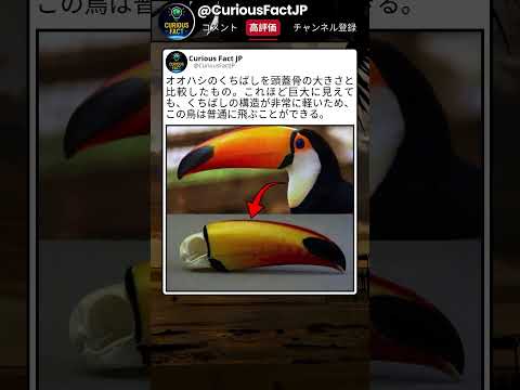 想像してたより軽いって本当なの？ thumbnail