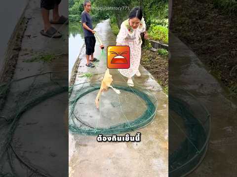 แม่เอาเป็ดขแงฉันจุ่มน้ำทำไม thumbnail