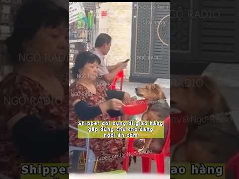 Shipper đói bụng đi giao hàng gặp đúng chú chó đang ngồi ăn cơm thumbnail