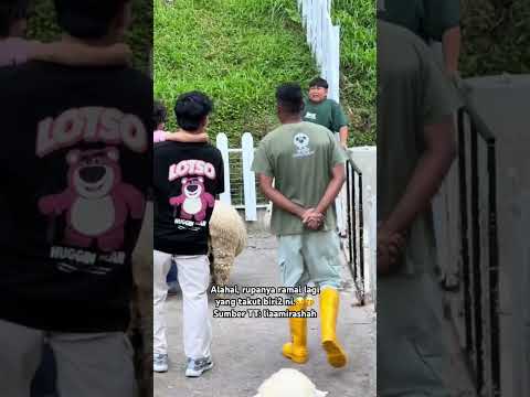 Comel pula riaksi dia gelabah.? Menjerit tak ingat dunia.? thumbnail