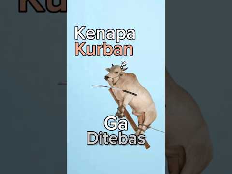 Kenapa Hewan Kurban Ga Ditebas Aja?🤔🗡️🐄 thumbnail
