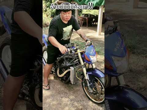 รักแท้แพ้ฟอซ่า thumbnail