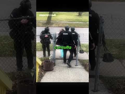 A vovó mais protegida thumbnail
