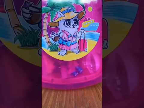 My magic vacation 😜❤️ #shorts Best video by Tiktok Family thumbnail