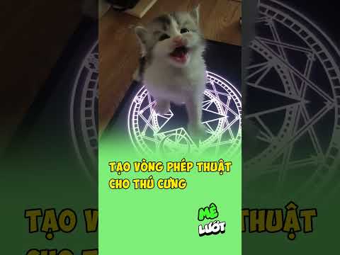 Tạo vòng phép thuật cho thú cưng | Mê Lướt thumbnail