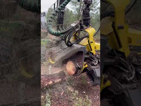 Insane Forestry Machine! John Deere 1270G in Action #forest #harvester #johndeere #heavymachinery thumbnail