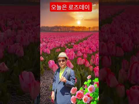 ?오늘은 로즈데이  5월 14일은 사랑하고 고마운 분들께 장미꽃으로 마음을 표현하는 날 오늘 하루 사랑주고 사랑받는 아름다운 날 되세요 #꽃편지 #장미#로즈데이 #shorts thumbnail
