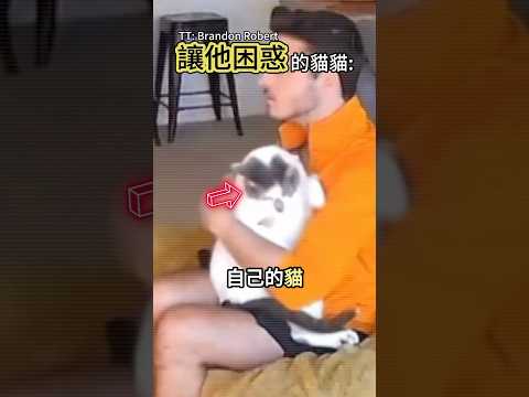 貓主人很困惑 thumbnail