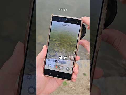 물속 투시되는 렌즈 등장.. thumbnail