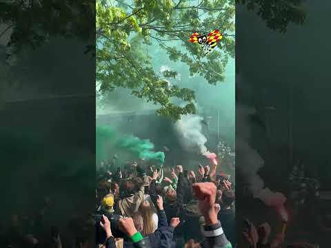 Här skickar tusentals fans iväg Hammarby – mot cupfinalen thumbnail