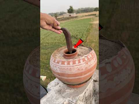Clay Pot Fridge Experiment Part 2 #shorts #outofmindexperiment thumbnail