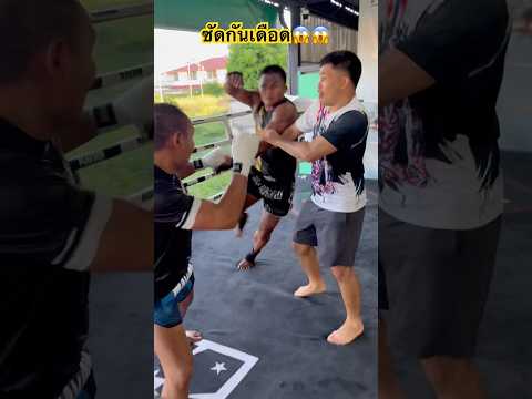 ใครจะกล้าห้าม😂😂 #แสนชัย #บัวขาว #มวยไทย #saenchai #buakaw #muaythai thumbnail