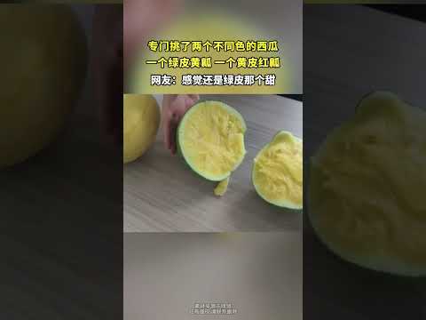 专门挑了两个不同色的西瓜，一个绿皮黄瓤，一个黄皮红瓤 thumbnail