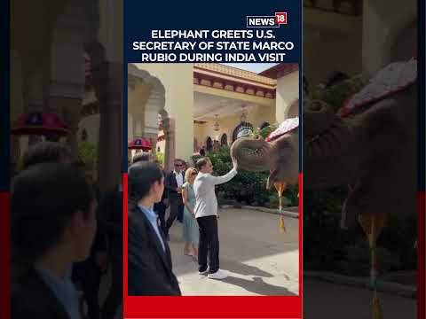 Marco Rubio and US Ambassador Receive Traditional Welcome in Rajasthan | N18S thumbnail