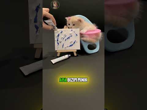 Resim Dersinde Uyuyan Sevimli KEDİ! 🐱 🎨 😴 thumbnail