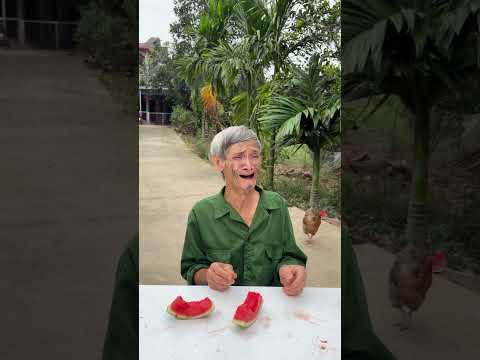 Món quà dưa hấu đặc biệt dành cho Ông nội🍉🎁 #shorts thumbnail