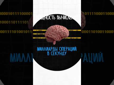 Если бы мозг был ПК, то каким? thumbnail